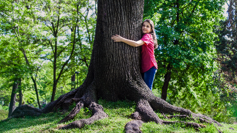 Girl hugging tree